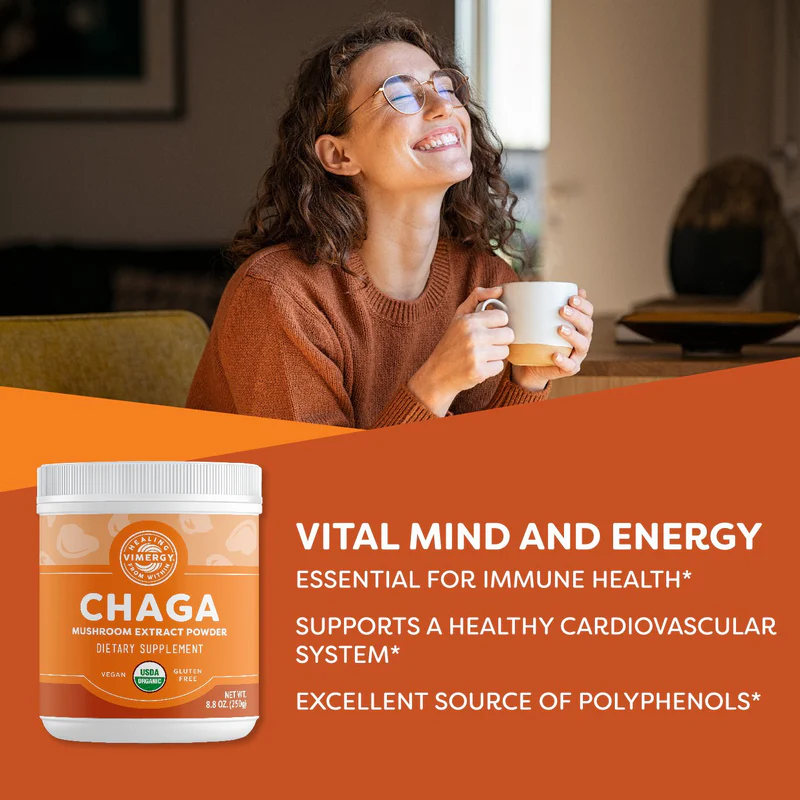 Bột Nấm Chaga Hữu Cơ - Image 2