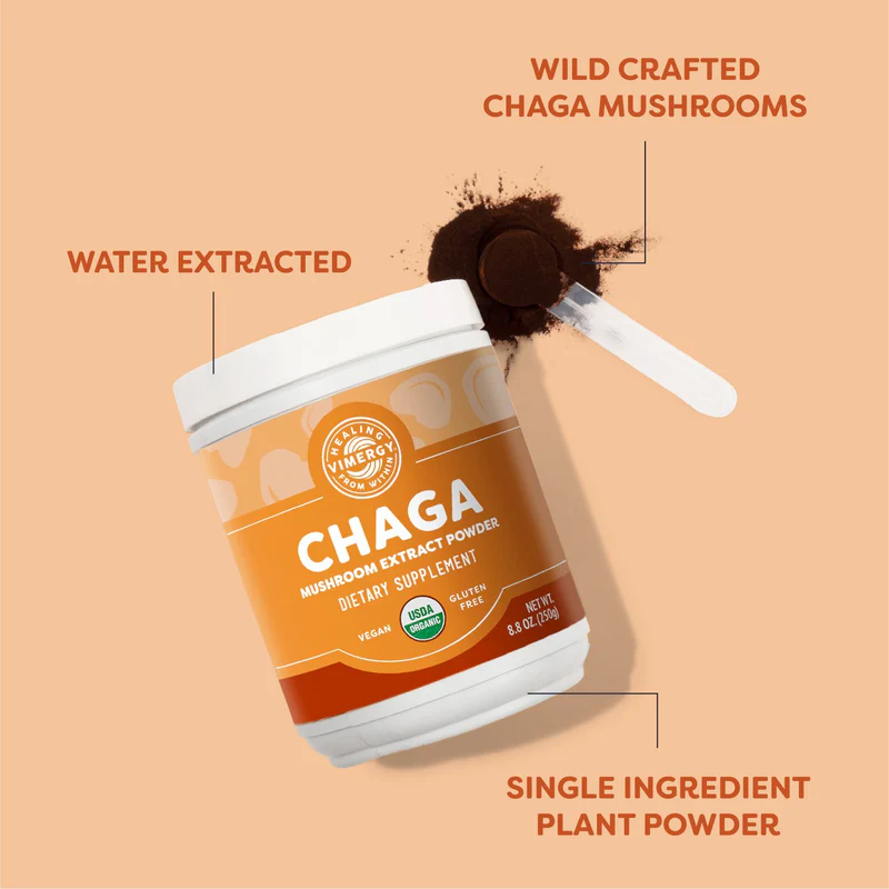 Bột Nấm Chaga Hữu Cơ - Image 3